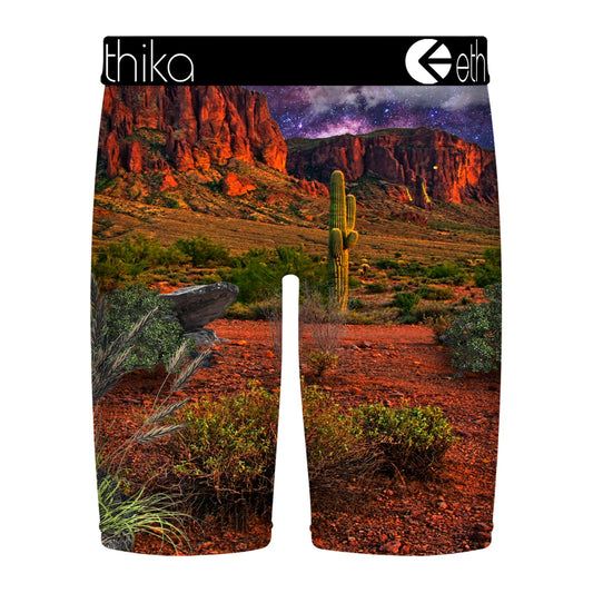Ethika Boys "All Bite No Bark" Staple Boxer Brief — view 2