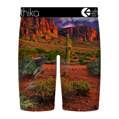 Ethika Boys "All Bite No Bark" Staple Boxer Brief — view 2