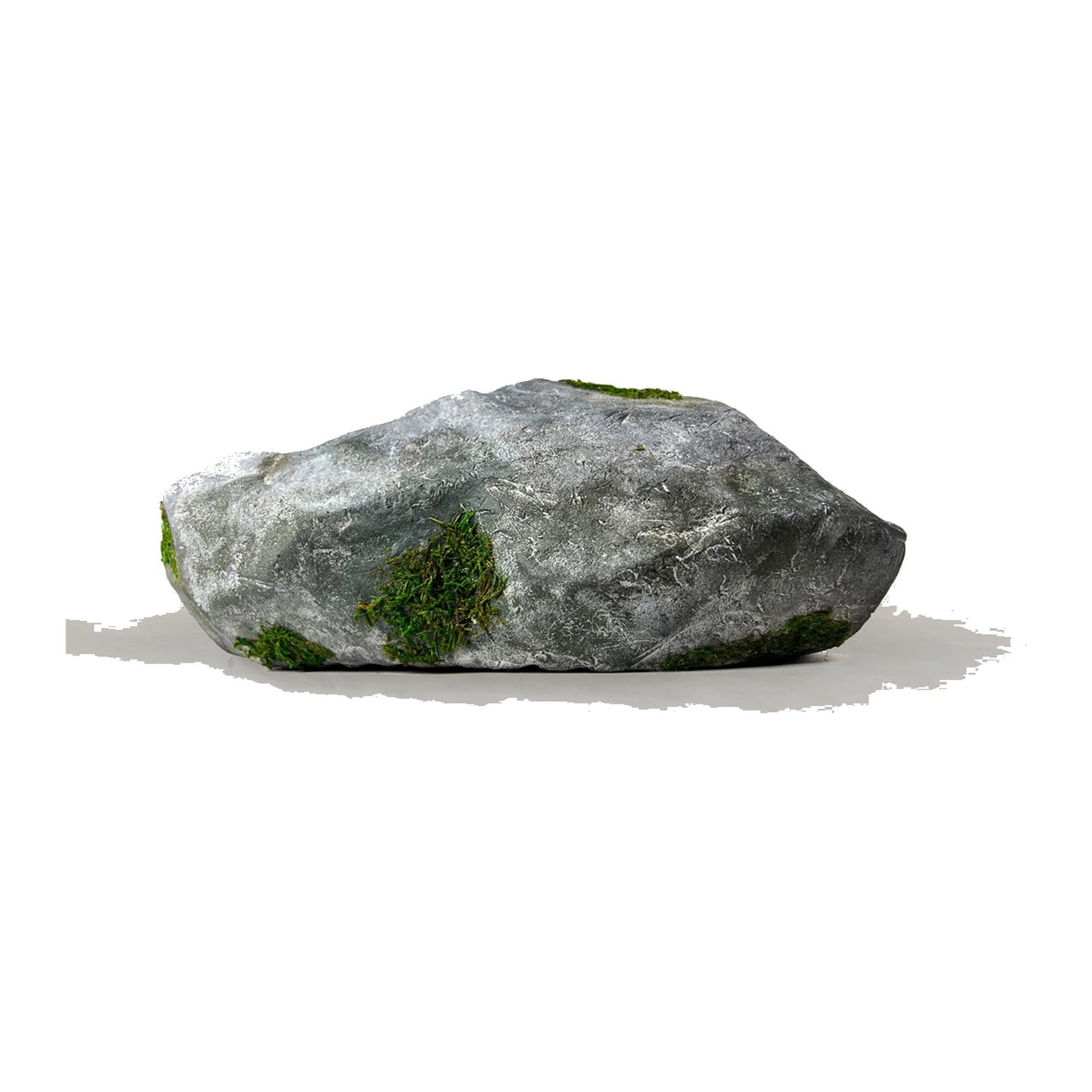 Bravest Studios Rock Shoe